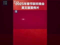 春 の 祭り の 紹介